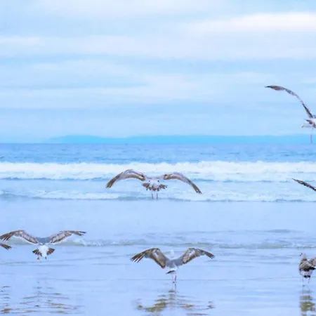Villa Near Sint Maartenszee With Jacuzzi