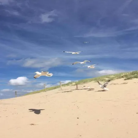 Near Sint Maartenszee With Jacuzzi * Sint Maartensvlotbrug