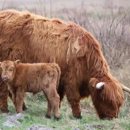 Near Sint Maartenszee With Jacuzzi *