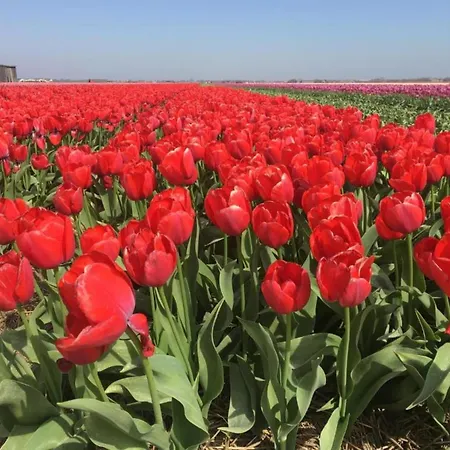 Near Sint Maartenszee With Jacuzzi *