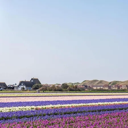 Villa Near Sint Maartenszee With Jacuzzi